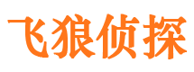 杂多市婚姻调查